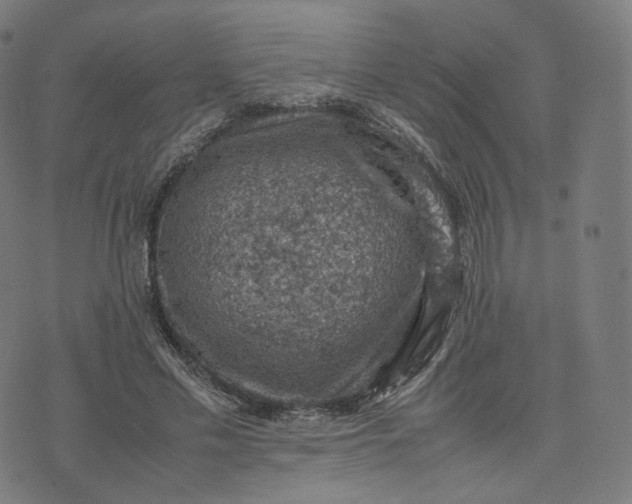 X0000070370589200606231649