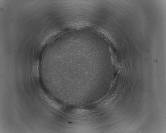 X0000070370590200606231649