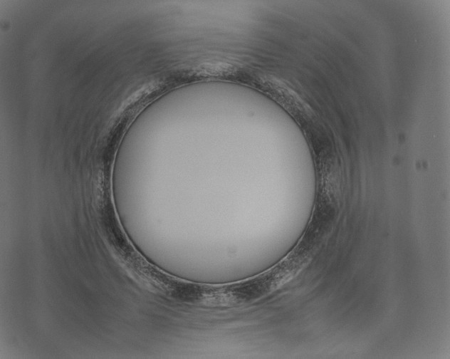 X0000070370591200606231649