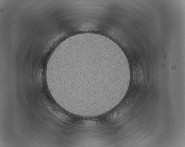 X0000070370592200606231649