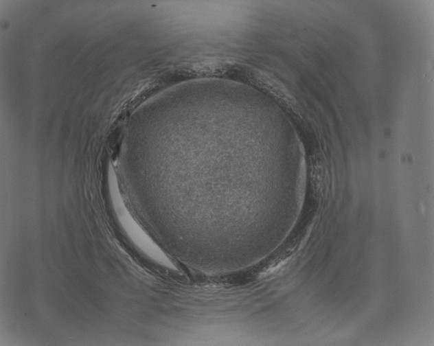 X0000070370593200606231649