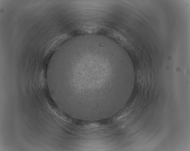 X0000070370594200606231649