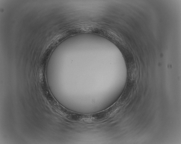 X0000070370595200606231649