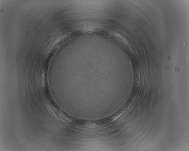 X0000070370596200606231649