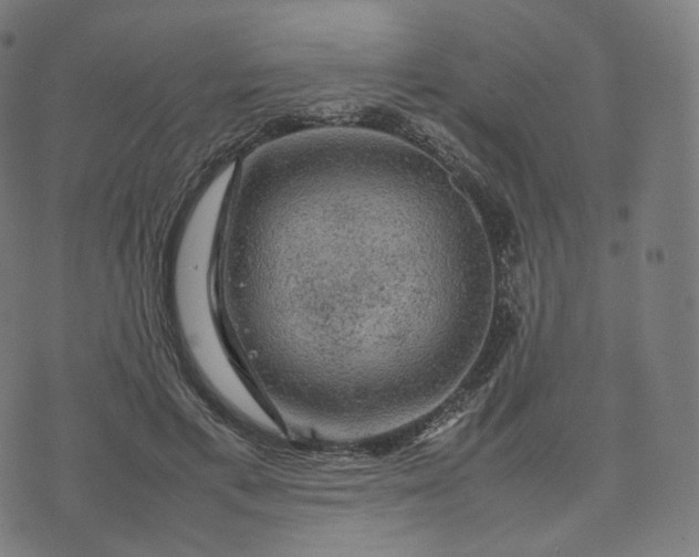 X0000070370597200606231649