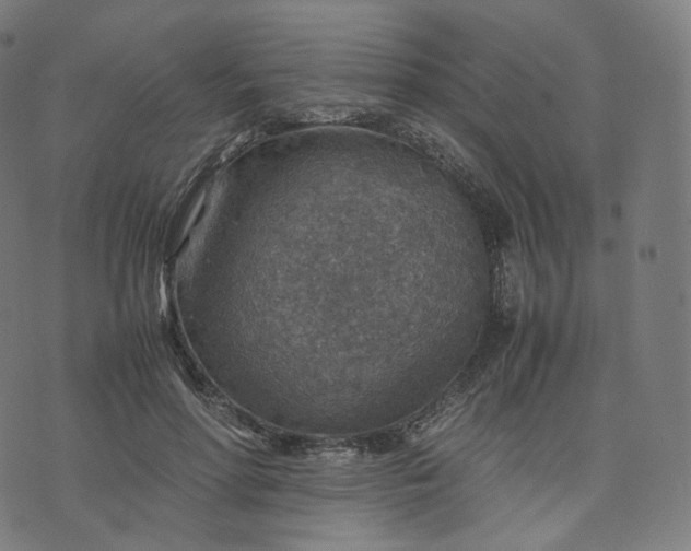 X0000070370598200606231649