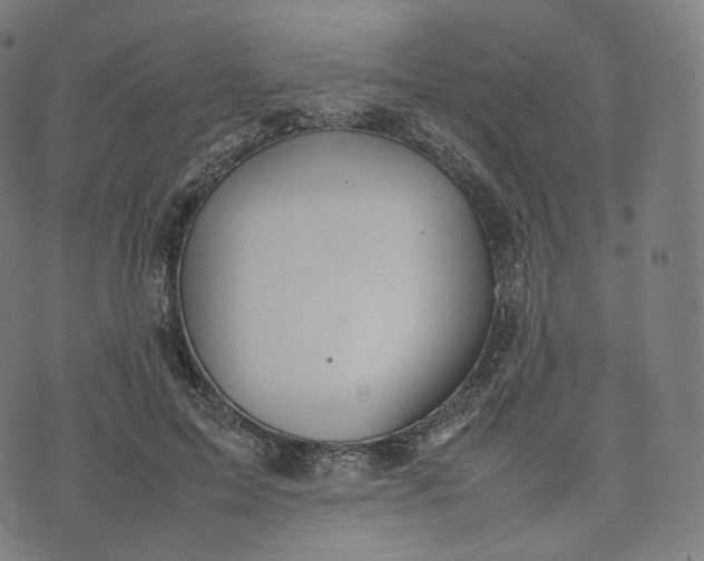 X0000070370599200606231649