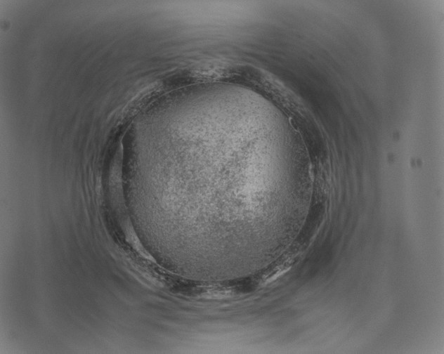 X0000070370601200606231649