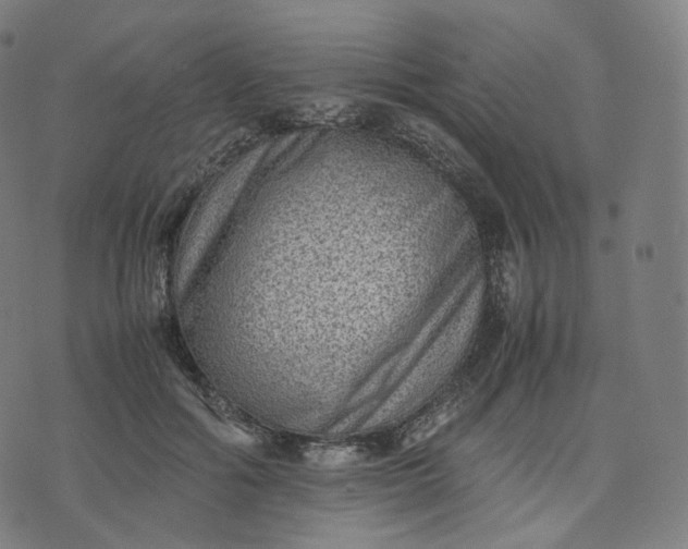 X0000070370602200606231649