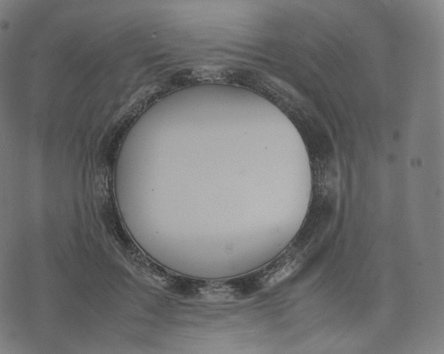 X0000070370603200606231649