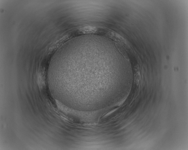 X0000070370604200606231649