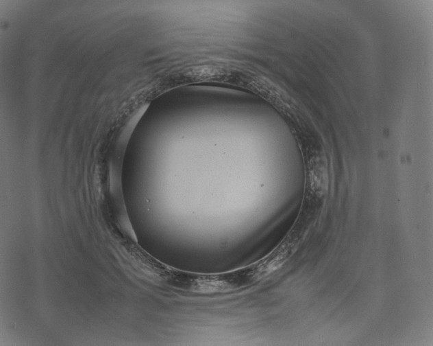 X0000070370605200606231649