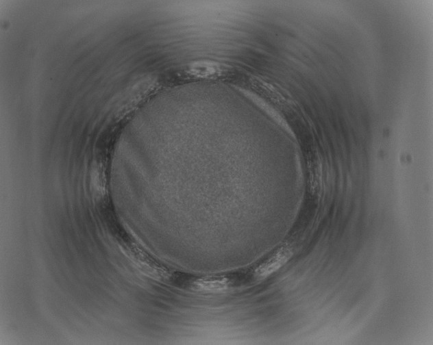 X0000070370606200606231649