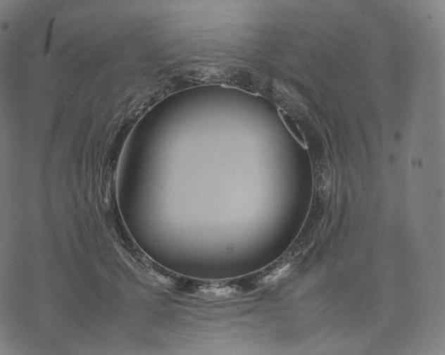 X0000070370607200606231649