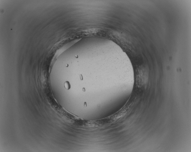 X0000070370608200606231649