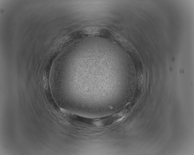 X0000070370609200606231649