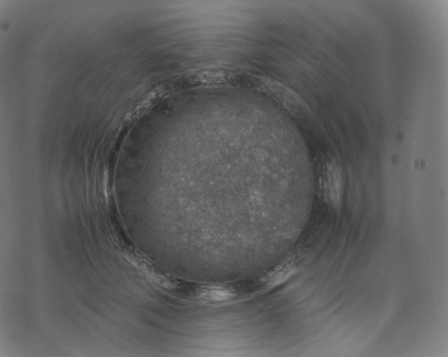 X0000070370610200606231649