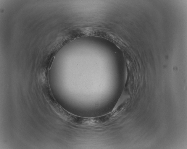 X0000070370611200606231649