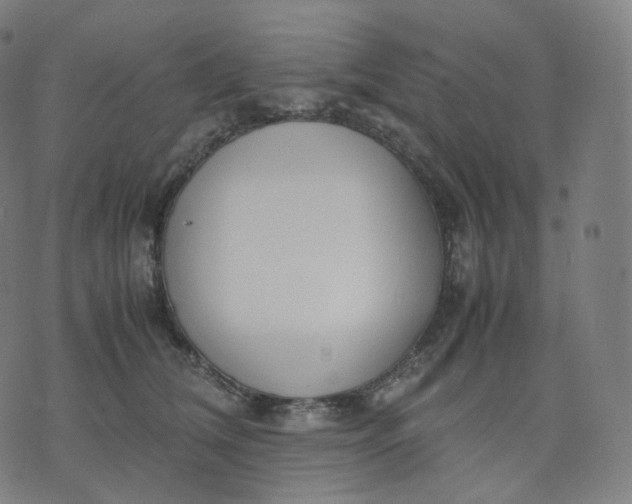 X0000070370612200606231649