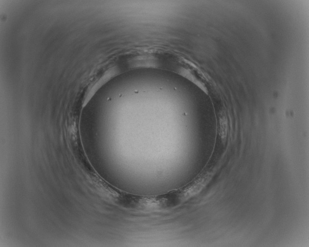 X0000070370613200606231649