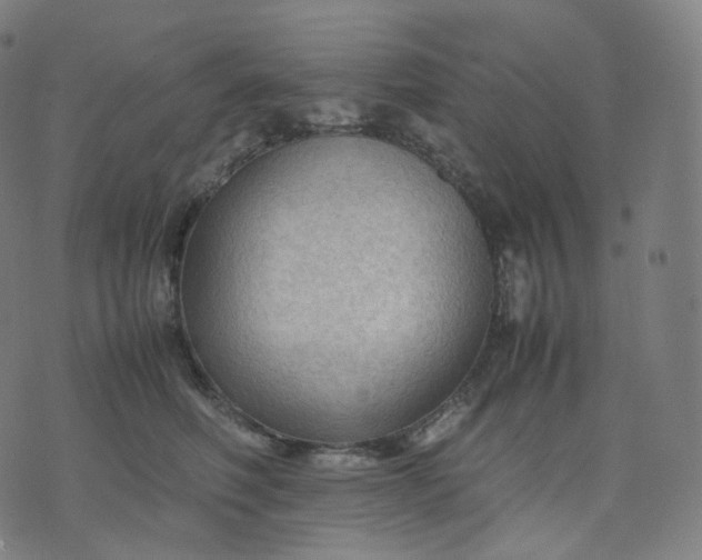 X0000070370614200606231649