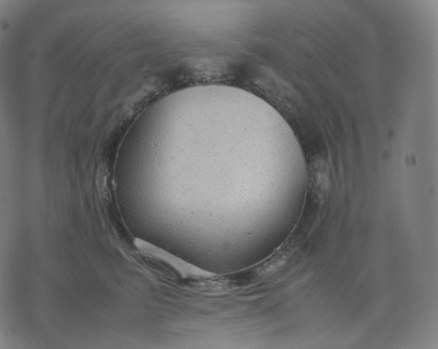 X0000070370615200606231649