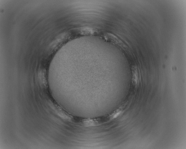 X0000070370616200606231649