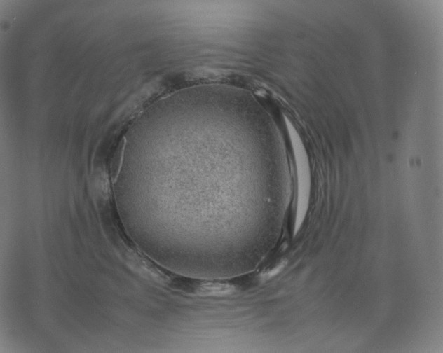 X0000070370617200606231649