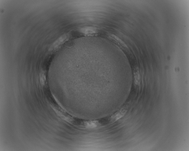 X0000070370618200606231649