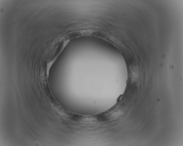 X0000070370619200606231649