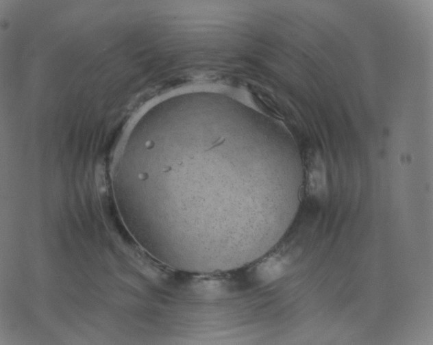 X0000070370620200606231649