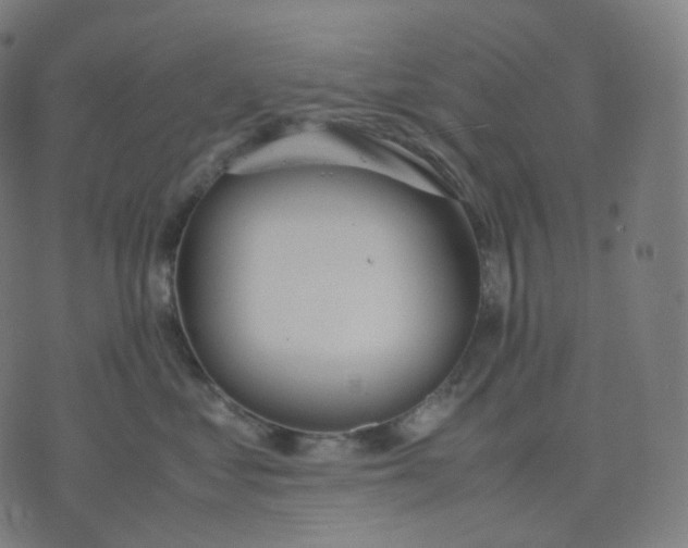 X0000070370621200606231649