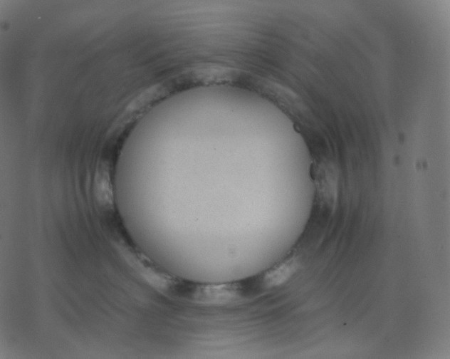 X0000070370622200606231649