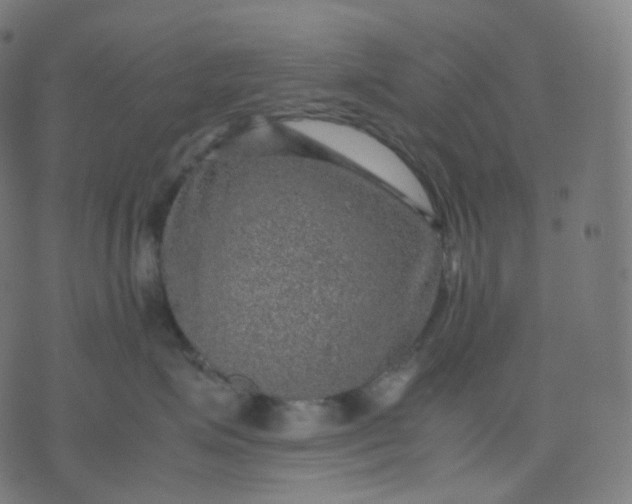 X0000070370623200606231649