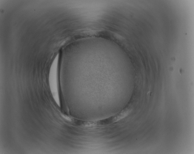 X0000070370624200606231649