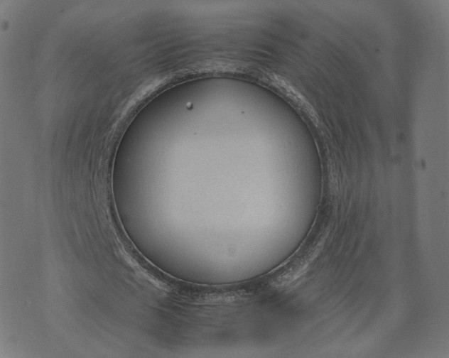 X0000070370625200606231648