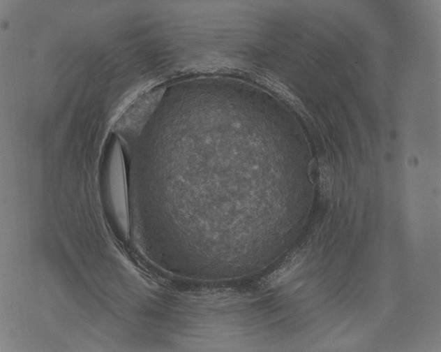 X0000070370626200606231648