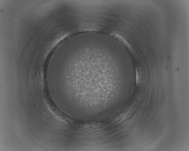 X0000070370627200606231648