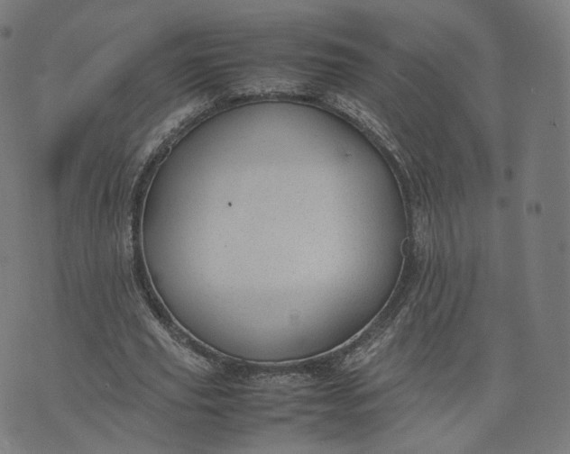 X0000070370629200606231648