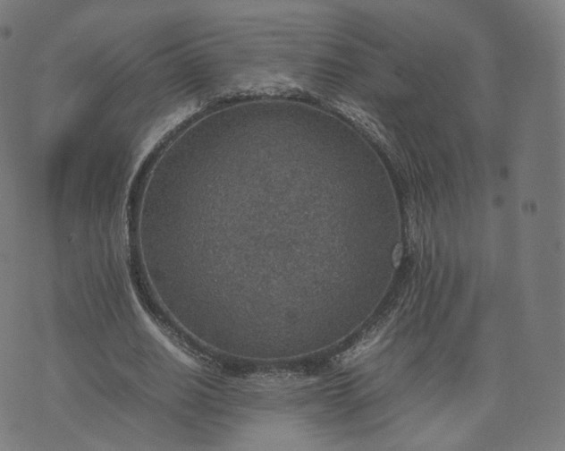 X0000070370630200606231648