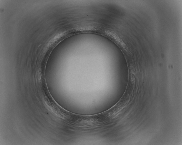 X0000070370631200606231648