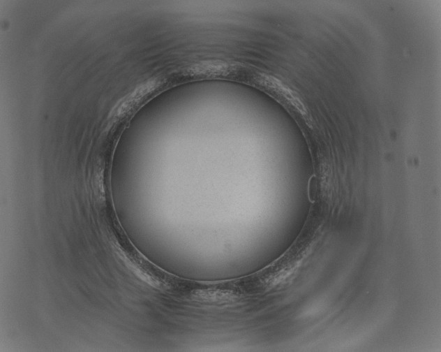 X0000070370633200606231648