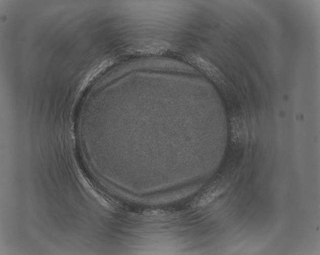 X0000070370634200606231648