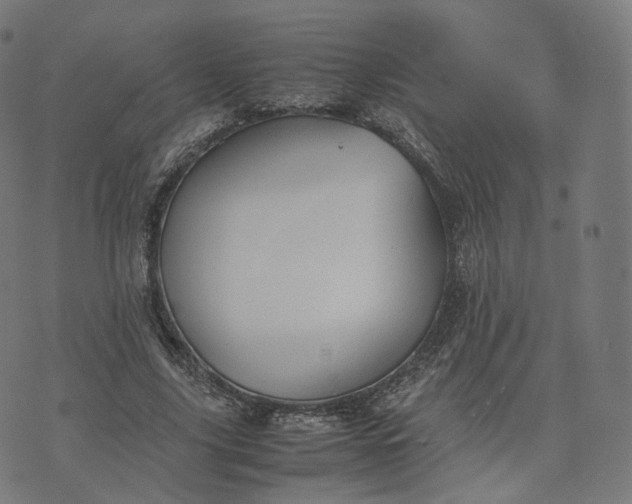 X0000070370635200606231648