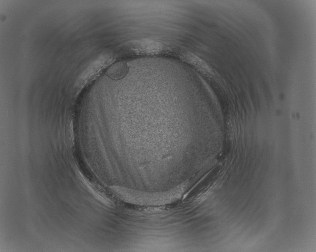 X0000070370638200606231648