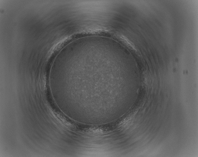 X0000070370640200606231648