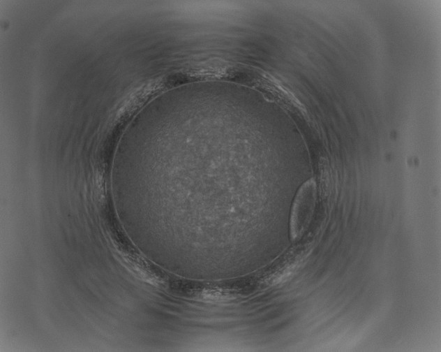 X0000070370641200606231648