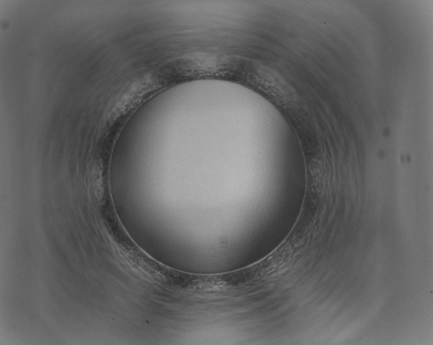 X0000070370642200606231648