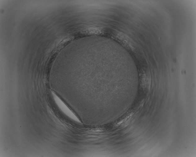 X0000070370643200606231648