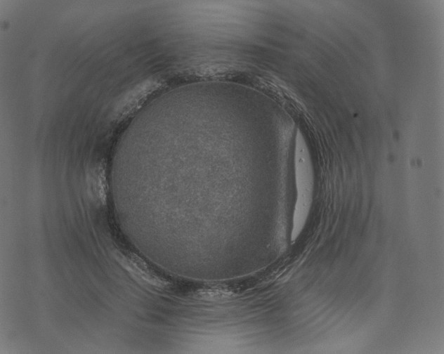 X0000070370644200606231648